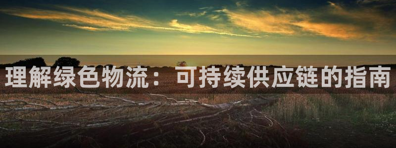 28圈登录不上咋回事：理解绿色物流：