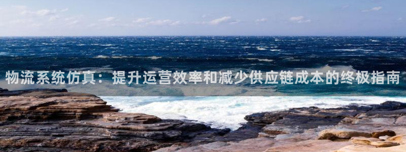 28圈注册官网：物流系统仿真：提升运