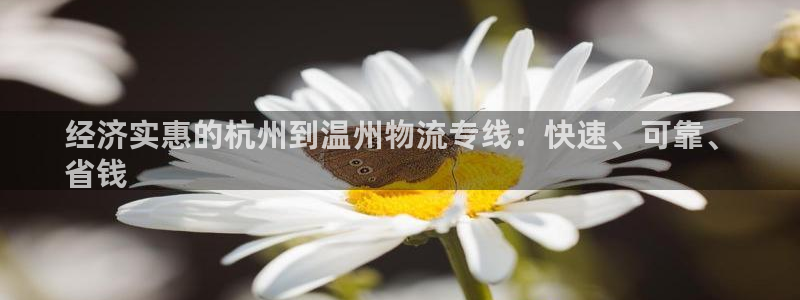 28圈如何退款