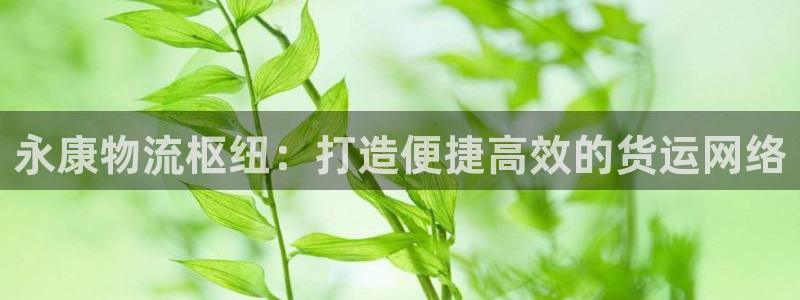 加拿大28圈是什么