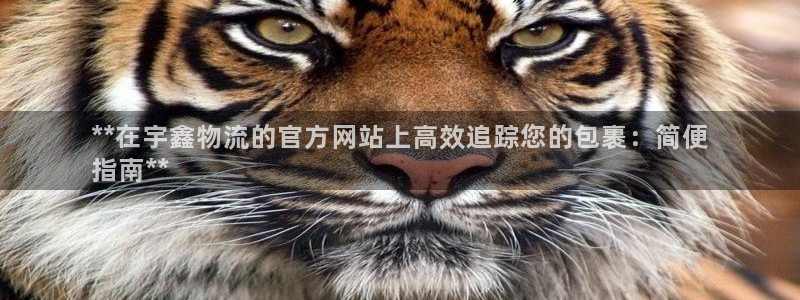 28圈预测
