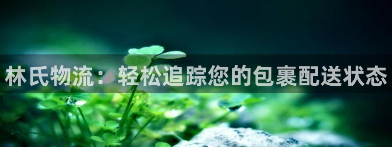 28圈登陆网