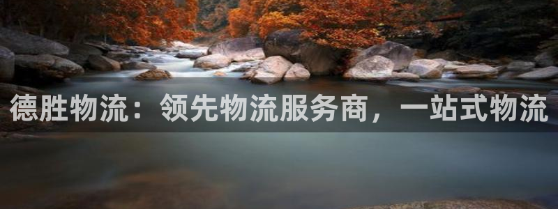 28圈那个才是充值账号：德胜物流：领