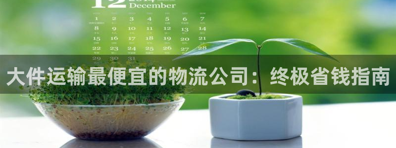 28圈连输10天