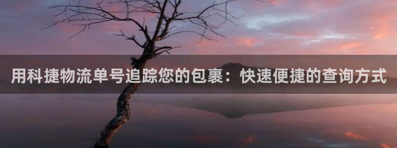 28圈注册网站：用科捷物流单号追踪您