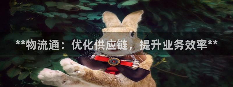 28圈充值不处理会怎么样