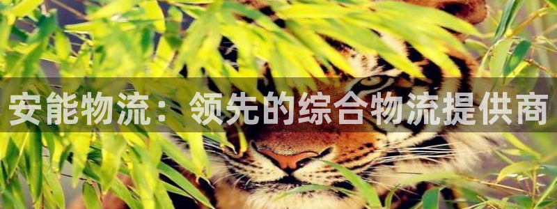 28圈可靠吗