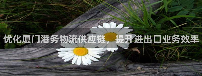 28圈入口问一问