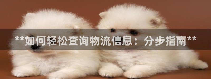 28圈加拿大预测