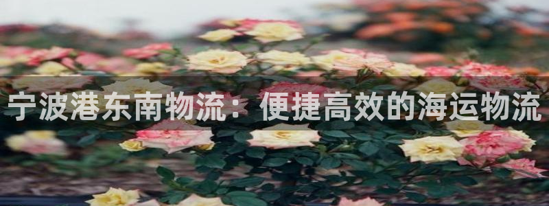 28圈充值不处理