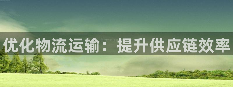 28圈注册链接教程：优化物流运输：提