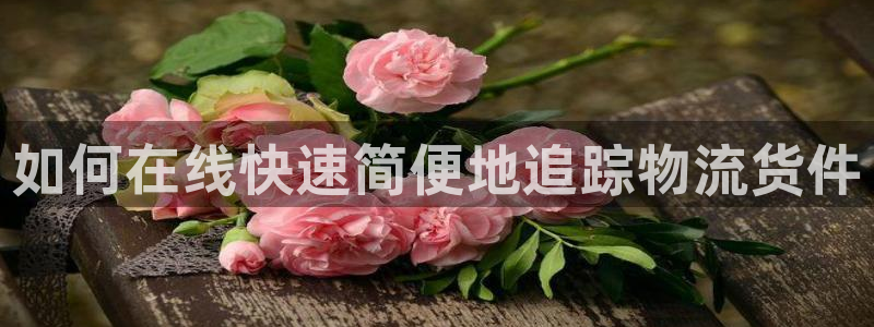 28圈防失联网址