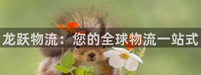 28圈和南宫28什么关系