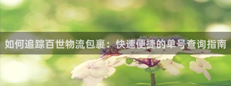 28圈官方网站