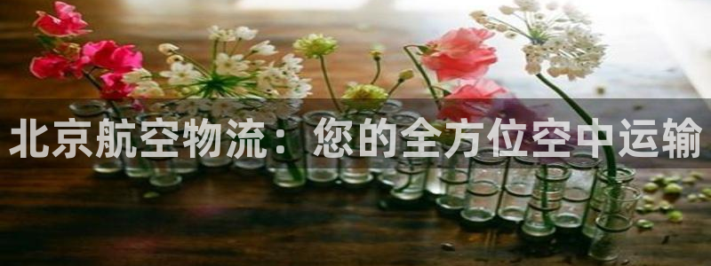 28圈官网平台下载