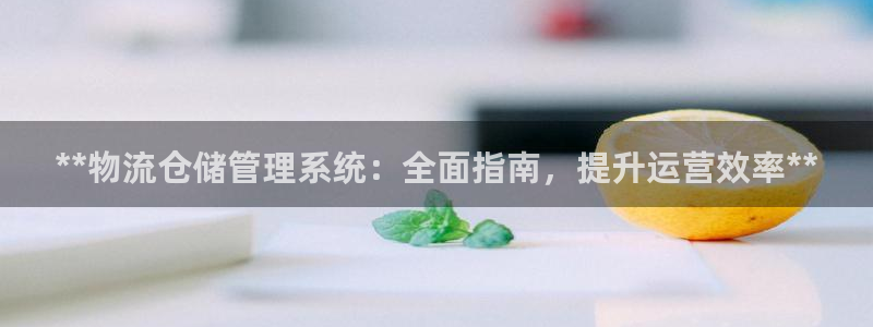 28圈注册步骤：**物流仓储管理系统