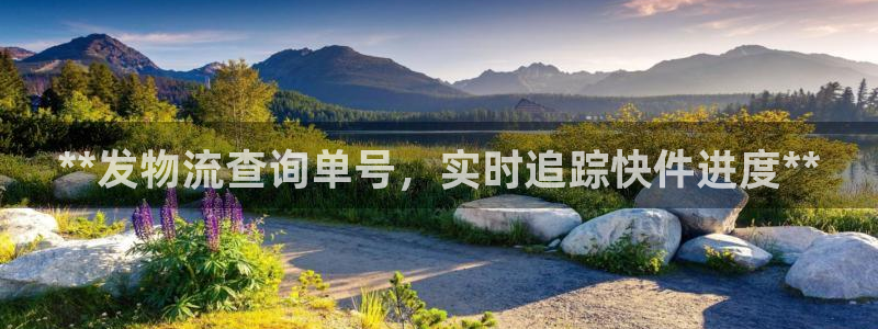 28圈怎么注册下载