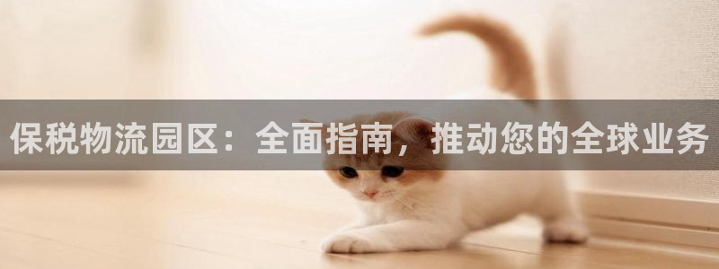 28圈反水什么时候到