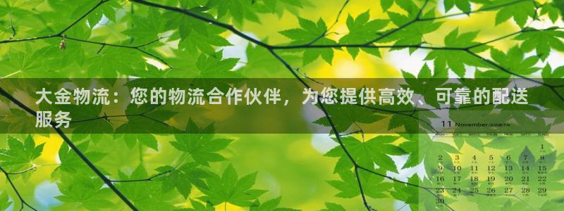 28圈哪个最赚钱