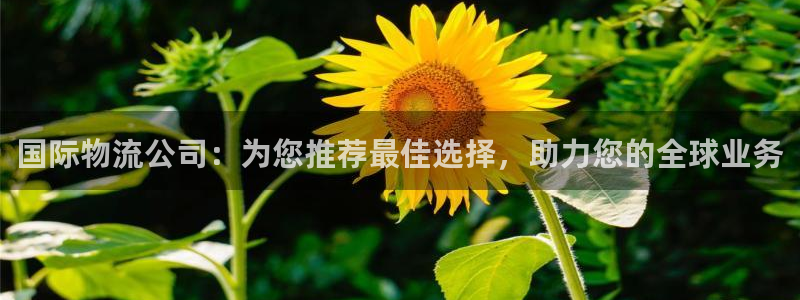28圈怎么注册账号：国际物流公司：为