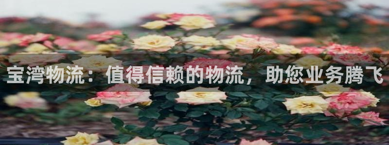 28圈加拿大6.0