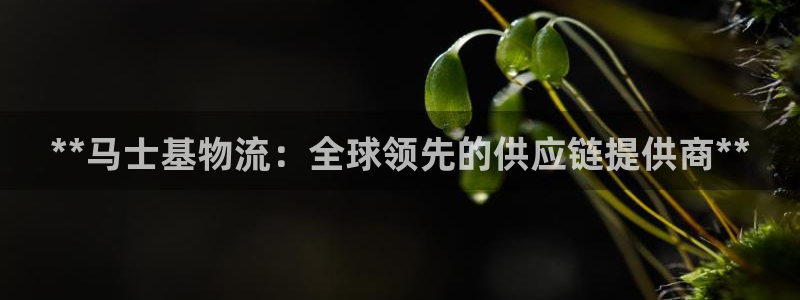 28圈怎么注册游戏名字：**马士基物