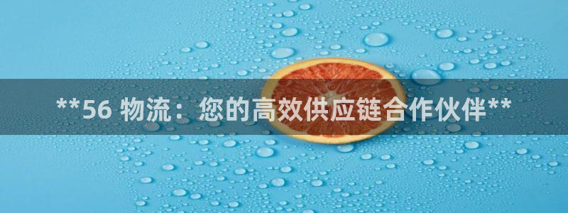 28圈注册网页：**56 物流：您的