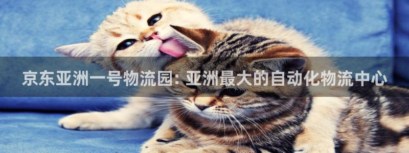 28圈注册限制怎么解除：京东亚洲一号