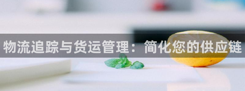 28圈网站平台