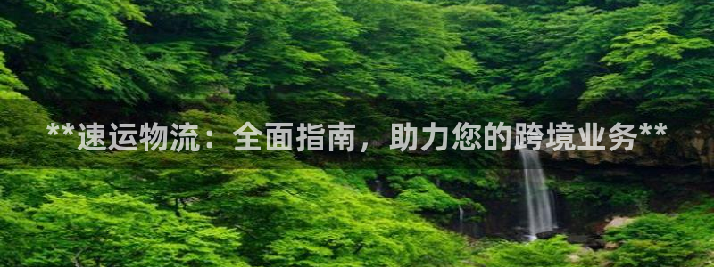 28圈是正规平台吗