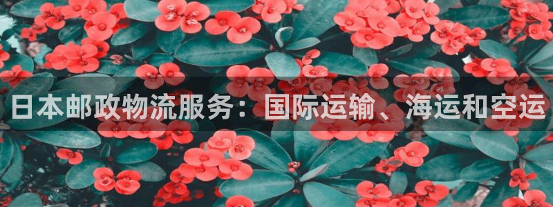 28圈注册登录流程：日本邮政物流服务