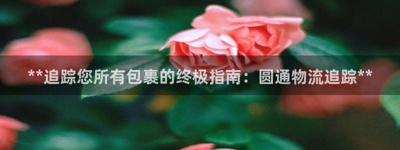 28圈链接是什么