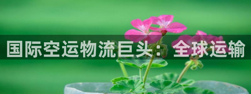 28圈官方网站