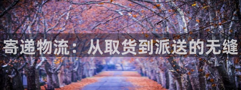 28圈.ccm正版