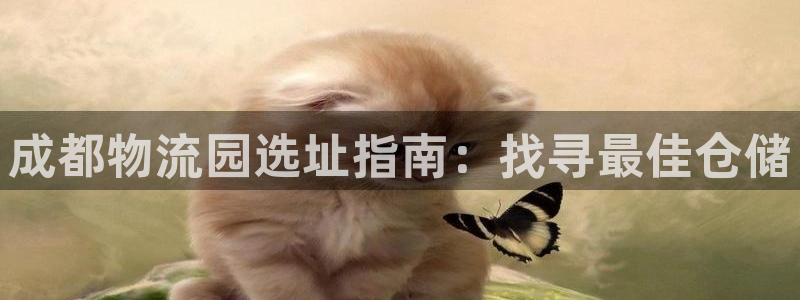 28圈注册流程：成都物流园选址指南：