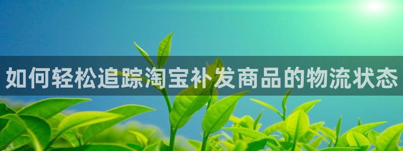28圈代理落网