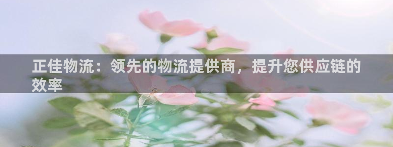 28圈注册网站APP：正佳物流：领先