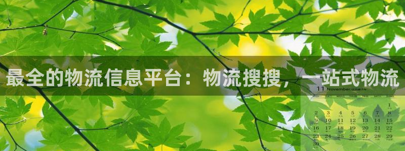 28圈app官网少林足球