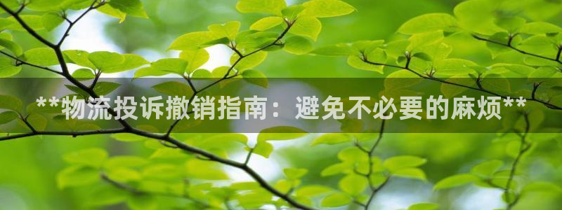 28圈官网平台