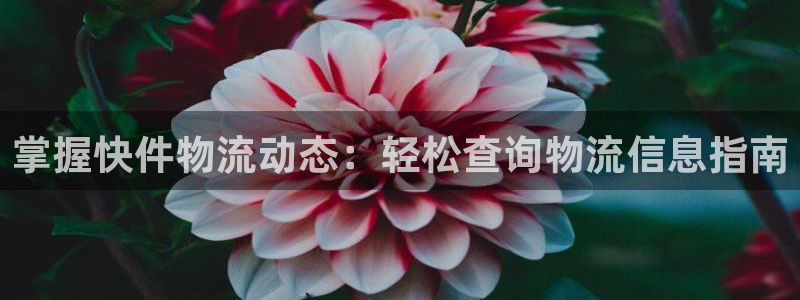 28圈女王中奖记录查询