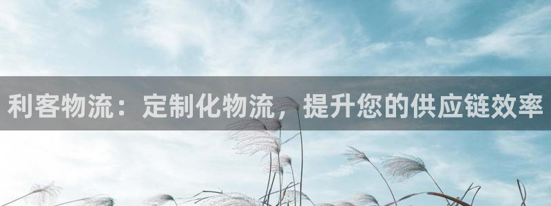 28圈注册与教程：利客物流：定制化物