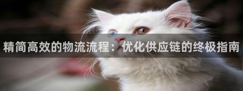 28圈新用户怎么注册：精简高效的物流