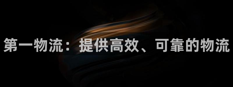 28圈登录流程：第一物流：提供高效、