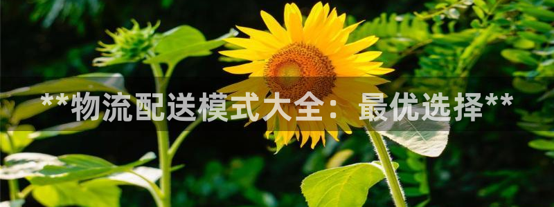 28圈如何看计划