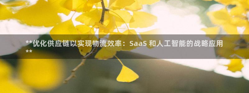 28圈注册步骤：**优化供应链以实现