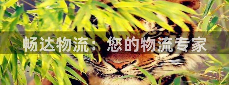 28圈可以退款吗