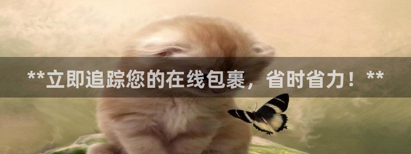 28圈防失联网址