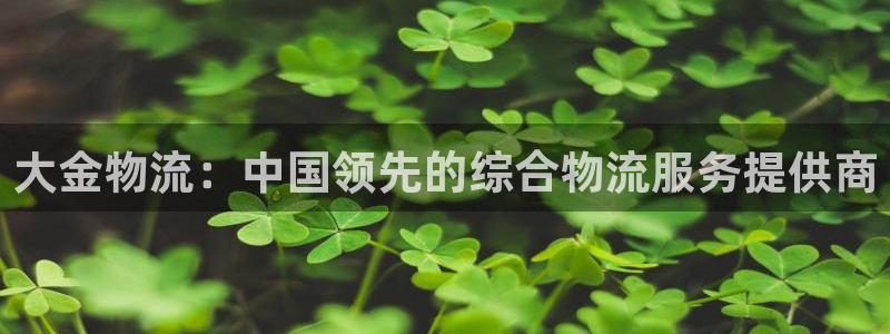 28圈登录不上咋回事：大金物流：中国