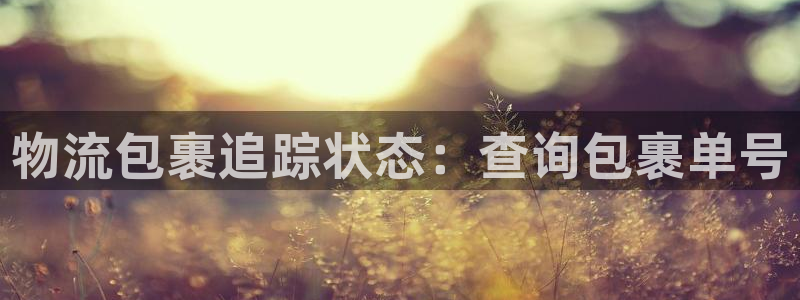 28圈注册网站链接：物流包裹追踪状态
