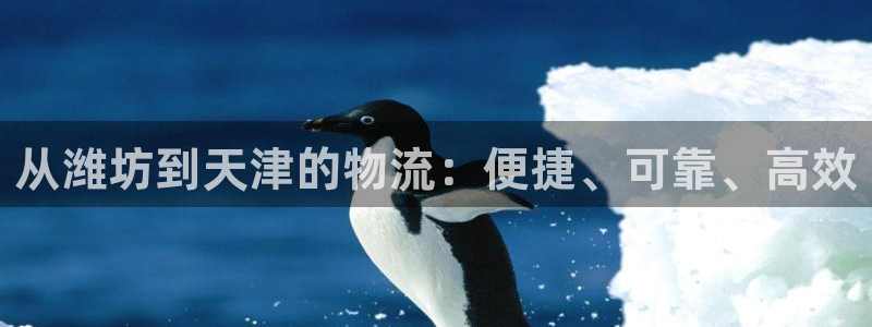 28圈官方网站预测